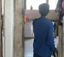 Damkar Gresik Evakuasi Monyet Lepas dan Ular Masuk Dapur Rumah Warga