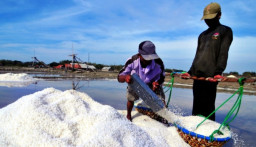 Petani Garam Sumenep Masih Terjepit Impor, Selisih Harga Jadi Kendala Utama