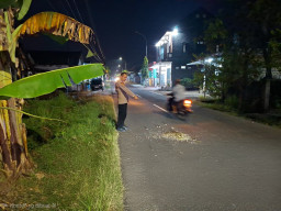 Pria Lansia 70 Tahun Meninggal Usai Terlibat Kecelakaan di Kedungadem Bojonegoro