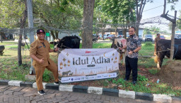 Puluhan Hewan Kurban Dibagikan BKMS dan Tenant JIIPE untuk Masyarakat Gresik