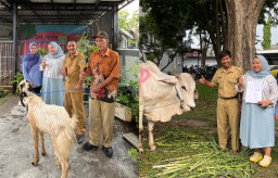 Sambut Idul Adha RBNP Iconland Salurkan Sapi dan Kambing untuk Warga Sekitar