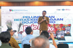 Bojonegoro Naik Kelas, Beras Premium Rojo Nogo Siap Tembus Pasar Nasional