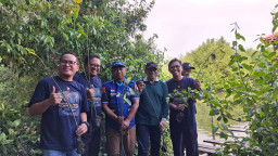 TPS Perluas Penghijauan Pesisir, Salurkan 2.000 Bibit Mangrove ke Gresik