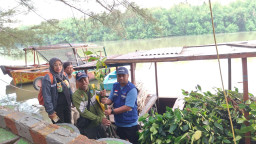 Ribuan Mangrove Kembali Menghijaukan Pesisir Romokalisari, Total 7.000 Bibit Tertanam di Surabaya dan Gresik