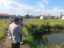 Tragis, Tiga Bocah Kakak Beradik Tewas Bersamaan Tenggelam di Telaga Sreseh Sampang