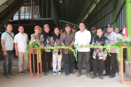 Bupati Setyo Wahono Resmikan Pabrik Porang di Kecamatan Sekar