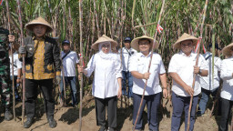 Panen dan Tanam Tebu Serentak di Malang Perkuat Upaya Swasembada Gula Nasional
