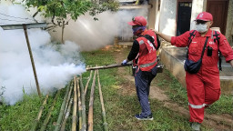 Kasus DBD Capai 12 Orang, PMI Jember Gerak Cepat Fogging Puluhan Rumah di Selodakon Tanggul