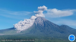 Gunung Semeru Erupsi Pagi Ini, Semburkan Awan Panas Guguran Sejauh 4,5 Kilometer