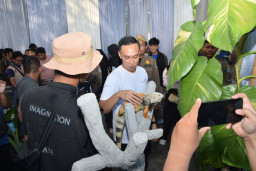Pertama di Lamongan, Ratusan Warga Ikuti Jalan Santai Bersama Hewan Kesayangan