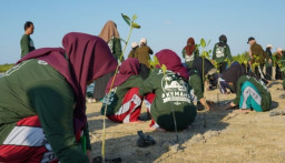 Peringati Hari Mangrove Sedunia, Pelajar di Sapeken Sumenep Tanam 2.500 Bibit Mangrove