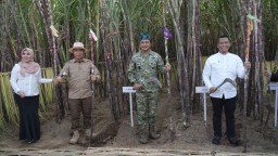 Panen Tebu di PG Semboro Jadi Momentum Penguatan Kemitraan Petani dan Industri Gula