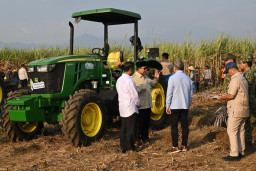 Presiden Prabowo Pimpin Panen Raya Tebu Nasional, SGN Optimistis Target Swasembada Gula Lebih Cepat Tercapai