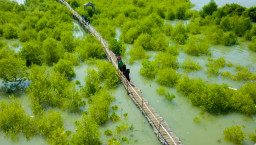 Dukung Pemulihan Ekosistem Pantai, Petrokimia Gresik Terus Kembangkan Kawasan Mangrove Mengare