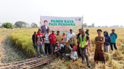 Ketua DPRD Gresik Dukung Pengembangan Mina Padi di Manyar, Fokus Benahi Infrastruktur Pertanian