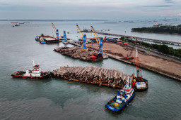 Arus Barang Tumbuh 10,85 Persen, Pelindo Multi Terminal Cetak Kinerja Positif Semester I 2026