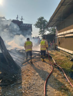 Dua Kandang Ayam di Jember Terbakar, Kerugian Capai Rp3,3 Miliar, Mesin Pemanas Jadi Sorotan