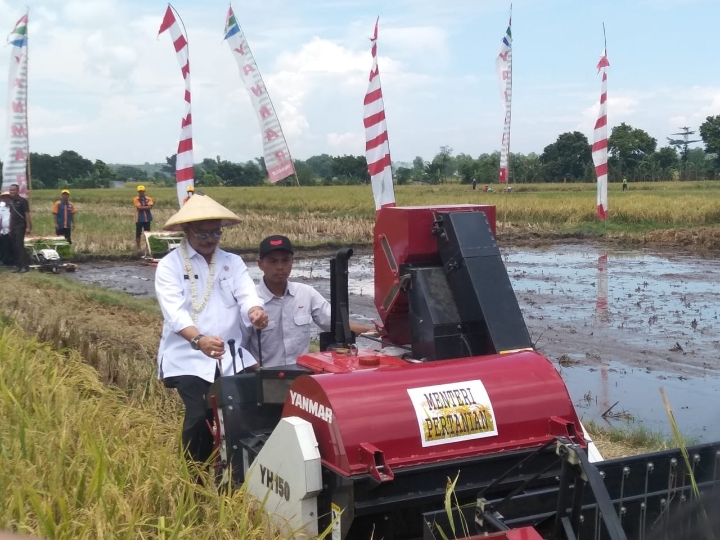 Harga Bawang Putih Melambung Imbas dari Virus Korona, Mentan Pastikan Tidak Ada Kelangkaan