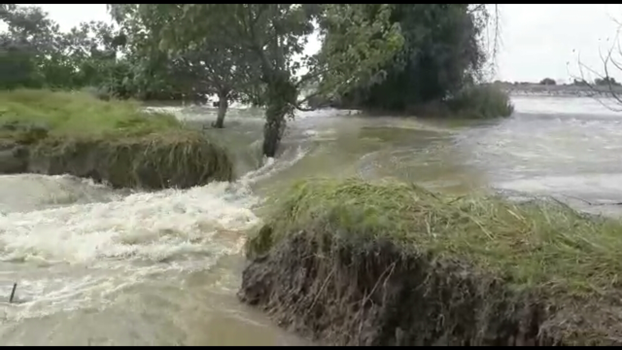 Tanggul Kali Lamong Jebol, 1.584 Rumah Terendam Banjir