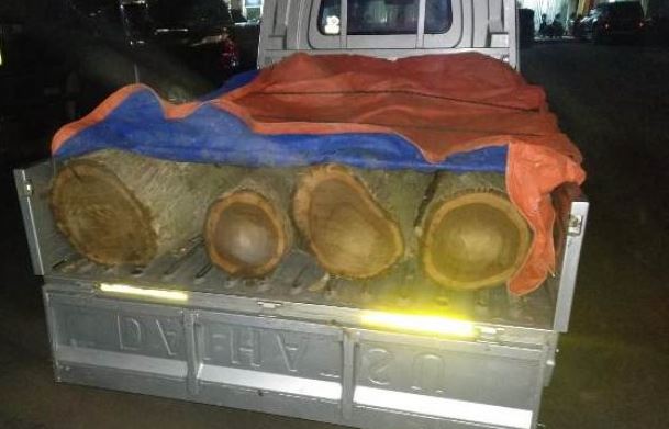 Angkut 8 Batang Kayu Jati Ilegal, Warga Jember Berurusan dengan Polisi