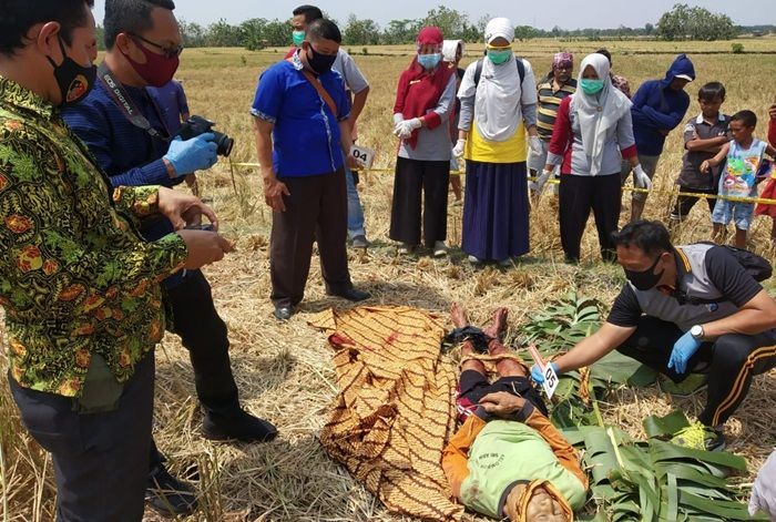 Kakek Di Ngawi, Tewas Bersimbah Darah Di Sawahnya