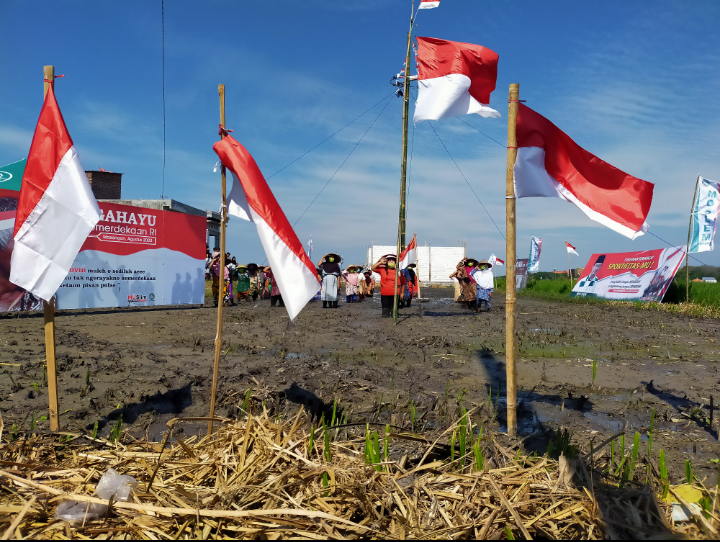 Di Pasuruan, Petani Masangan Bangil Gelar Upacara Kemerdekaan di Tengah Sawah