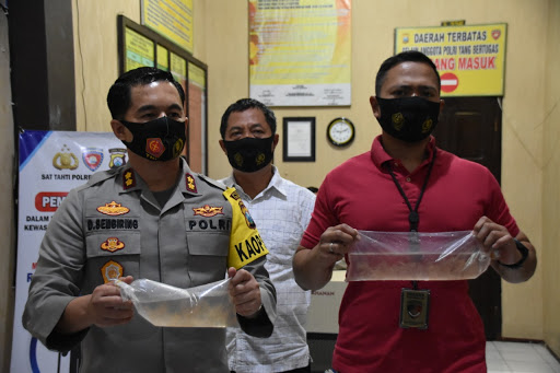 Polres Trenggalek Amankan Pengepul Benur Lobster