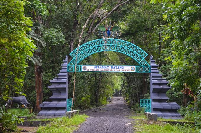 Misteri Malam Suro Alas Purwo, Dari Pertapaan Hingga Desa Penari Mistis