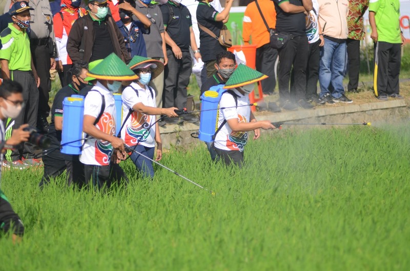 PG Gelar Semprot Masal Pupuk NPK  di Banjarnegara