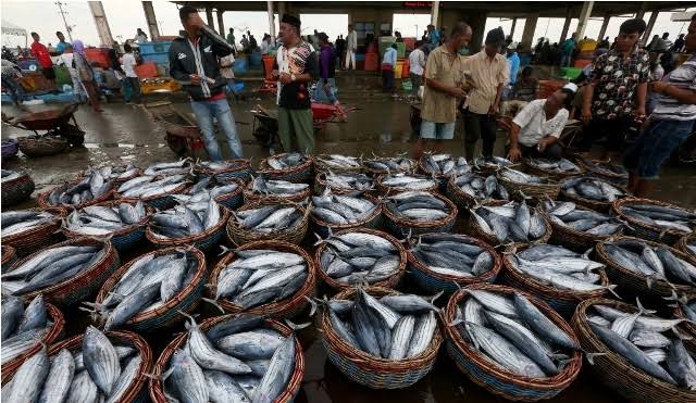 Ekspor Ikan Segar Asal Jatim Naik 3,33 Persen Dipicu Permintaan Tiga Negara