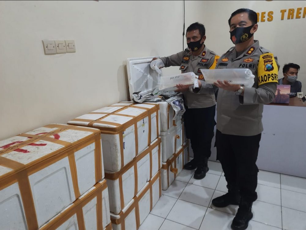 Amankan 38 Ribu Benur Lobster, Mapolres Trenggalek Nyaris Diluruk Nelayan