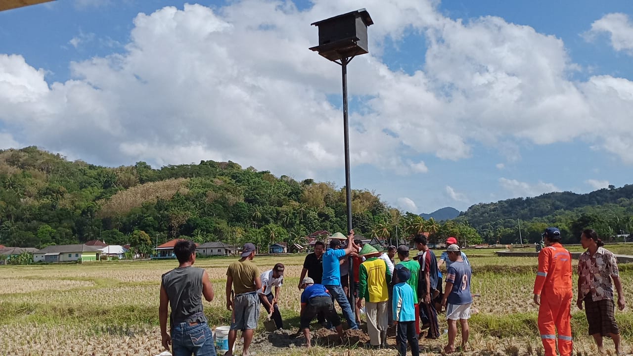 Bawean Diserang Tikus, Warga Swadaya Bangun Rubuha