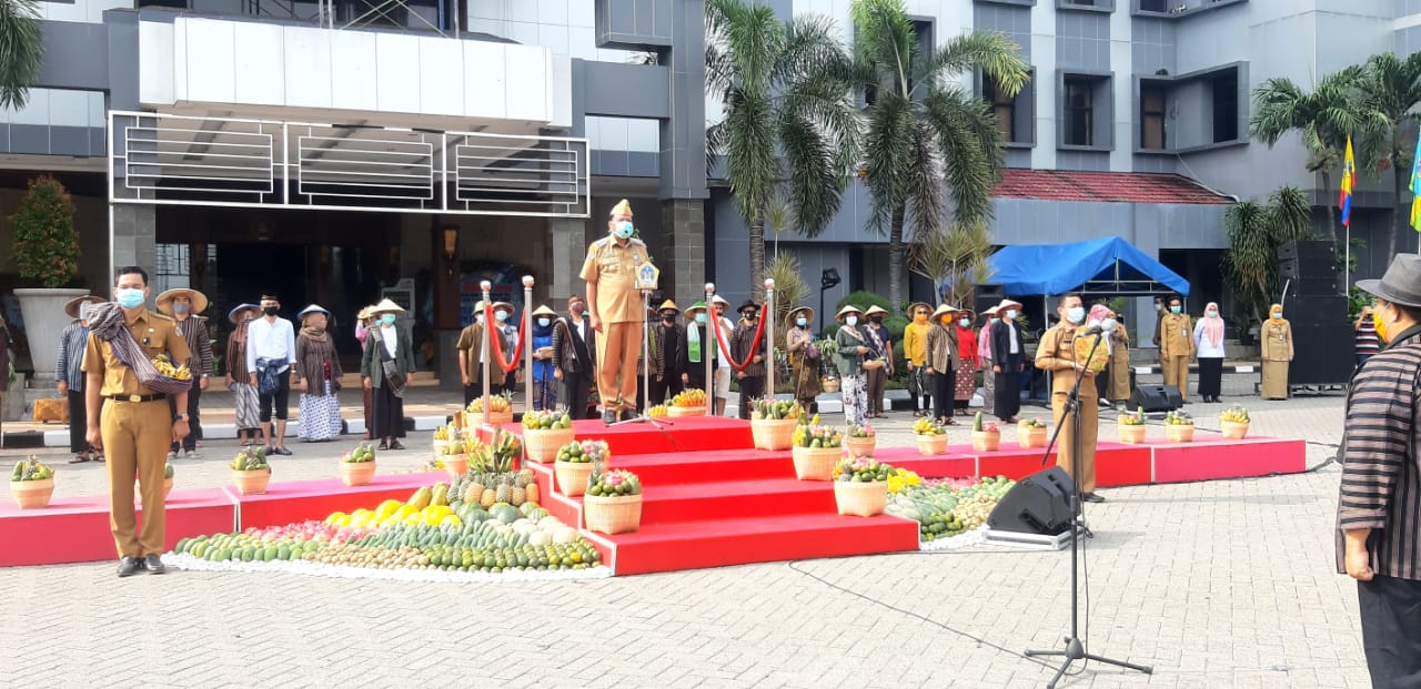 Peringati Sejumlah Hari Besar, ASN Berebut Buah-buahan di Halaman Kantor Bupati Gresik