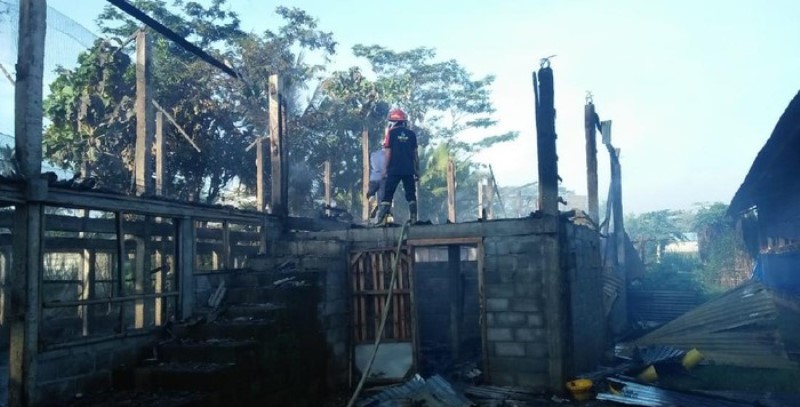 Kandang Dilalap Api, 6 Ribu Ayam Berubah Jadi Ayam Bakar