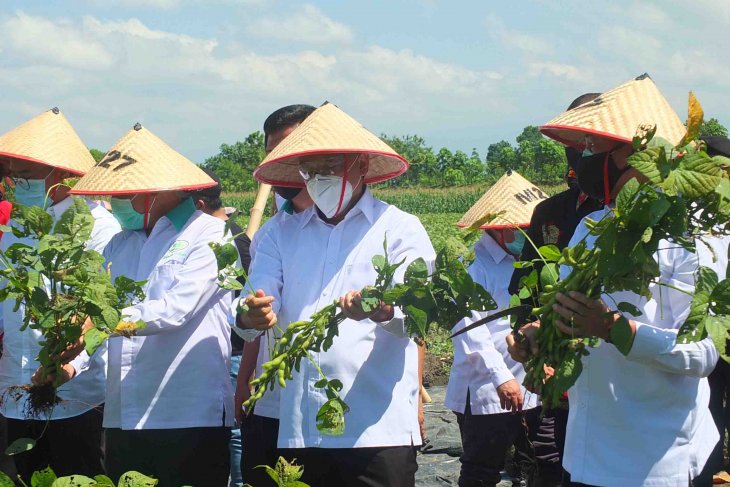 Ke Jember, Menkop Teten Salurkan Bantuan Rp 30 M Kepada Petani
