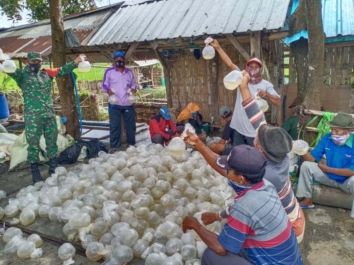 Bantu Tingkatkan Perekonomian Masyarakat Babinsa Kodim 0817 Gresik Budidaya Vaname