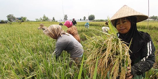 November, Nilai Tukar Petani Jawa Timur Meningkat 0,04 Persen