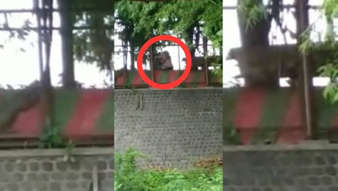 Enaknya Bercumbu di Atas Pagar Danau Grati Pasuruan