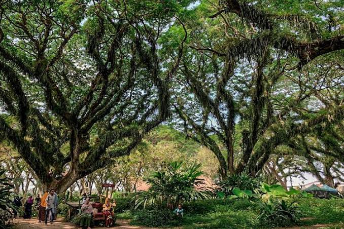 Wisata di Banyuwangi Bakal Dibuka Lagi, Mal, Cafe dan Tempat Karaoke Wajib Tutup Pukul 18.00 WIB