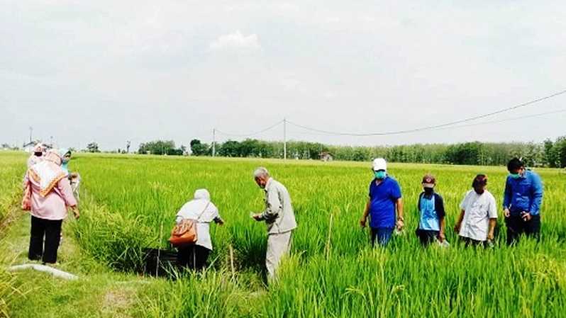 Pertamina EP Asset 4 Field Cepu Kembangkan Pertanian Sehat Ramah Lingkungan Berkelanjutan