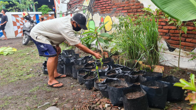 Komunitas Anti Manja Banyuwangi Sulap Pekarangan Rumah Jadi Sentra Tanaman Jahe