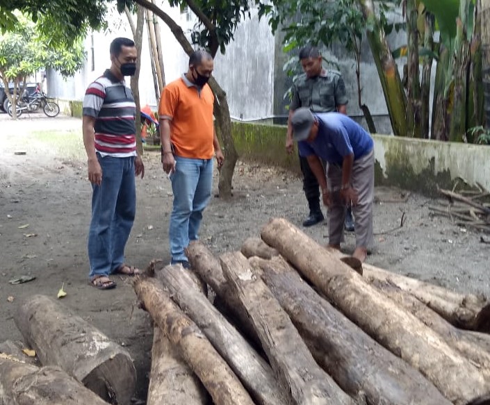 Curi Kayu untuk Bangun Rumah, Petani Desa Tulungagung Ini Dibekuk Polisi
