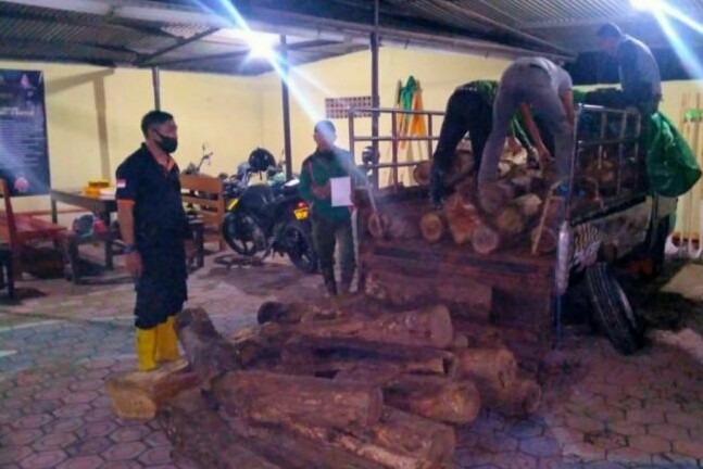 Diduga Curi Kayu Pikap L 300 Dihentikan Polhut Tuban, 2 Orang Ikut Diamankan