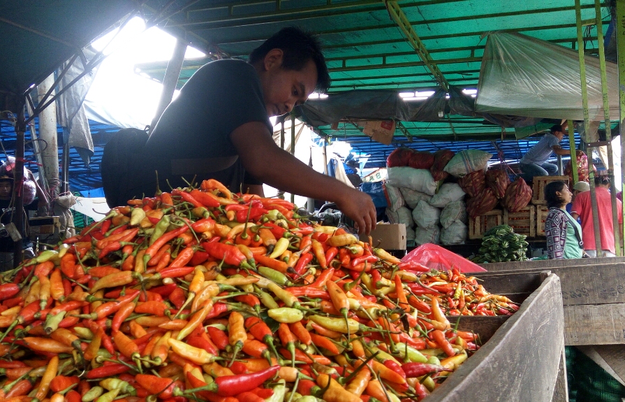 Harga Cabai di Sidoarjo Kembali Pedas Hingga Rp 100 Ribu Perkilogram