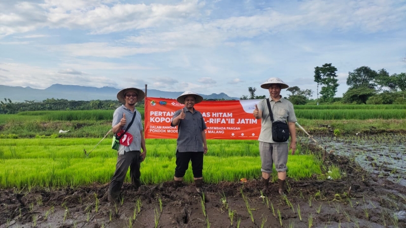 Ponpes Al Rifai Menuju Swasembada Pangan Melalui Program OPOP