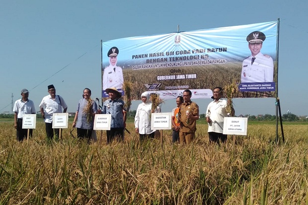 Tahun 2021, Alokasi Pupuk Subsidi Bagi Petani Jatim Naik Jadi 2.804.823 Ton