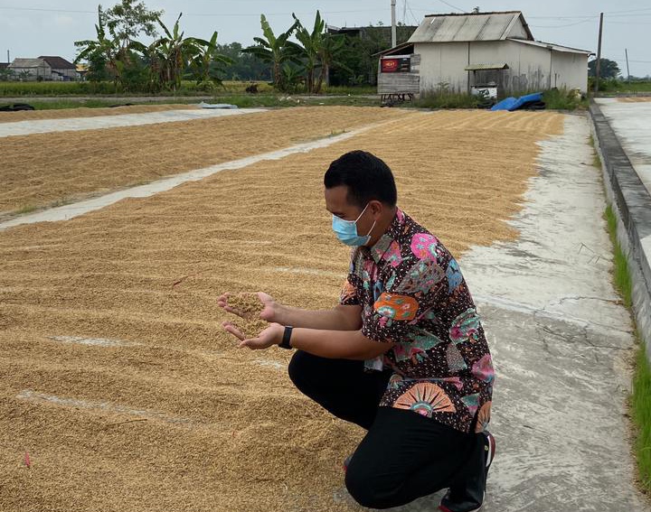 Bulog Siap Serap Beras Petani di Gresik, Tapi Ada Syaratnya   