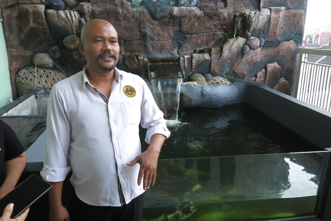 Budidaya Ikan Koi di Rumah, Warga Tropodo Krian ini Raup Cuan Puluhan Juta Per Bulan
