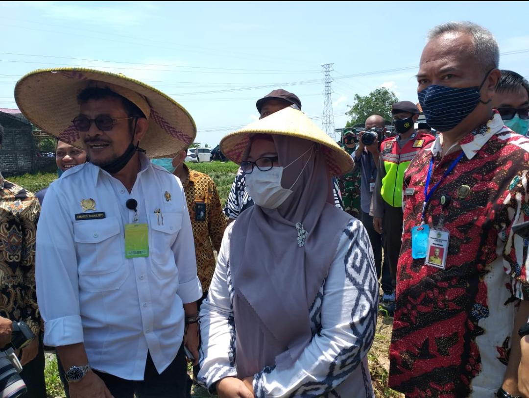 Tutupi Kekurangan Kebutuhan Pupuk Subsidi di Gresik, Pemerintah Siapkan Pupuk Organik