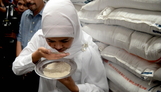 Gubernur Khofifah Tegaskan Jatim Tidak Butuh Impor Beras